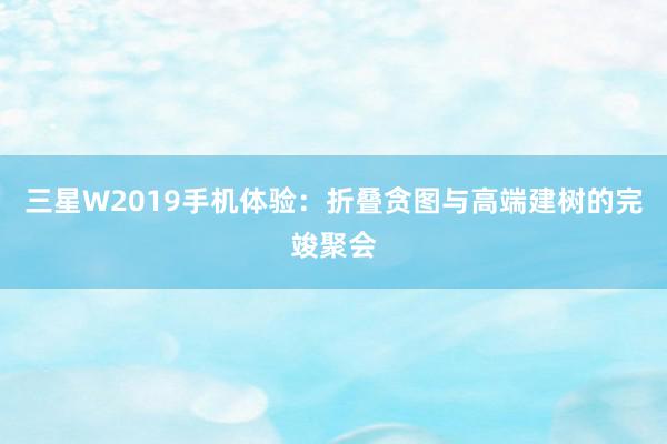 三星W2019手机体验：折叠贪图与高端建树的完竣聚会